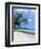 San San Beach, Port Antonio, Jamaica, West Indies, Central America-Sergio Pitamitz-Framed Photographic Print