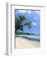 San San Beach, Port Antonio, Jamaica, West Indies, Central America-Sergio Pitamitz-Framed Photographic Print