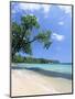 San San Beach, Port Antonio, Jamaica, West Indies, Central America-Sergio Pitamitz-Mounted Photographic Print