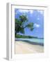 San San Beach, Port Antonio, Jamaica, West Indies, Central America-Sergio Pitamitz-Framed Photographic Print