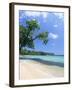 San San Beach, Port Antonio, Jamaica, West Indies, Central America-Sergio Pitamitz-Framed Photographic Print