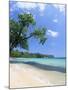 San San Beach, Port Antonio, Jamaica, West Indies, Central America-Sergio Pitamitz-Mounted Photographic Print