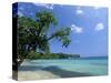 San San Beach, Port Antonio, Jamaica, West Indies, Central America-Sergio Pitamitz-Stretched Canvas