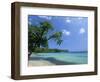 San San Beach, Port Antonio, Jamaica, West Indies, Central America-Sergio Pitamitz-Framed Photographic Print