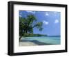 San San Beach, Port Antonio, Jamaica, West Indies, Central America-Sergio Pitamitz-Framed Photographic Print