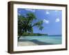 San San Beach, Port Antonio, Jamaica, West Indies, Central America-Sergio Pitamitz-Framed Photographic Print