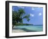 San San Beach, Port Antonio, Jamaica, West Indies, Central America-Sergio Pitamitz-Framed Photographic Print