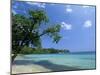 San San Beach, Port Antonio, Jamaica, West Indies, Central America-Sergio Pitamitz-Mounted Photographic Print