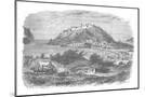 Wood Mount
