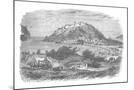 Wood Mount