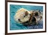 San Simeon, CA - Sea Otter-Lantern Press-Framed Art Print