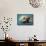 San Simeon, CA - Sea Otter-Lantern Press-Framed Stretched Canvas displayed on a wall