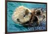 San Simeon, CA - Sea Otter-Lantern Press-Framed Art Print