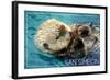 San Simeon, CA - Sea Otter-Lantern Press-Framed Art Print