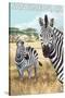 San Simeon, CA - Zebra Scene --Lantern Press-Stretched Canvas