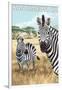 San Simeon, CA - Zebra Scene --Lantern Press-Framed Art Print