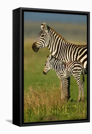 San Simeon, California - Zebra and Baby-Lantern Press-Framed Stretched Canvas