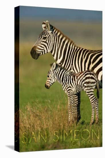 San Simeon, California - Zebra and Baby-Lantern Press-Stretched Canvas