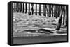 San Simeon Pier BW-Lee Peterson-Framed Stretched Canvas