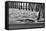 San Simeon Pier BW-Lee Peterson-Framed Stretched Canvas