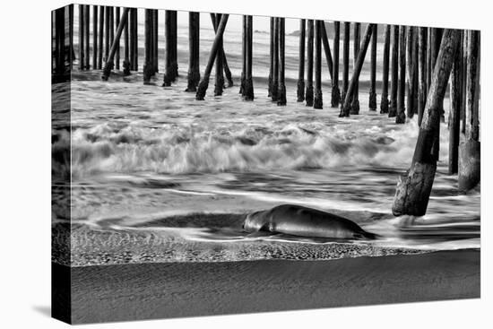 San Simeon Pier BW-Lee Peterson-Stretched Canvas