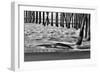 San Simeon Pier BW-Lee Peterson-Framed Photographic Print