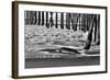 San Simeon Pier BW-Lee Peterson-Framed Photo