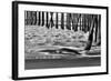 San Simeon Pier BW-Lee Peterson-Framed Photo