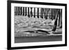 San Simeon Pier BW-Lee Peterson-Framed Photographic Print