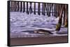 San Simeon Pier I-Lee Peterson-Framed Stretched Canvas
