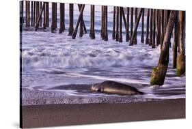 San Simeon Pier I-Lee Peterson-Stretched Canvas