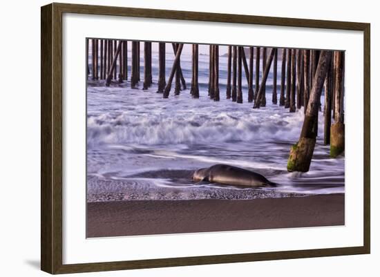 San Simeon Pier I-Lee Peterson-Framed Photo