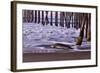 San Simeon Pier I-Lee Peterson-Framed Photo