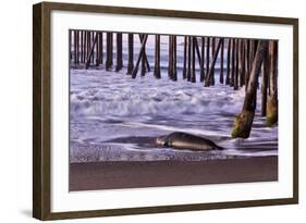 San Simeon Pier I-Lee Peterson-Framed Photo