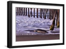 San Simeon Pier I-Lee Peterson-Framed Photographic Print