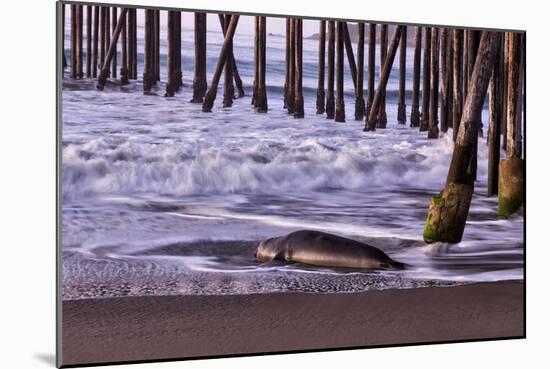 San Simeon Pier I-Lee Peterson-Mounted Photographic Print