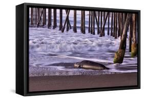 San Simeon Pier I-Lee Peterson-Framed Stretched Canvas