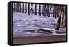 San Simeon Pier I-Lee Peterson-Framed Stretched Canvas