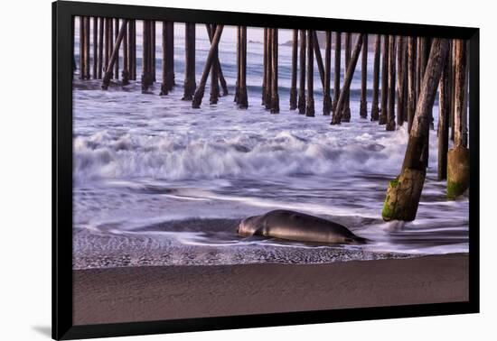 San Simeon Pier I-Lee Peterson-Framed Photo