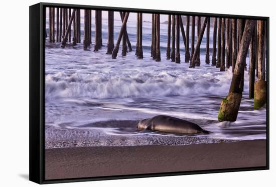 San Simeon Pier I-Lee Peterson-Framed Stretched Canvas