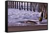 San Simeon Pier I-Lee Peterson-Framed Stretched Canvas