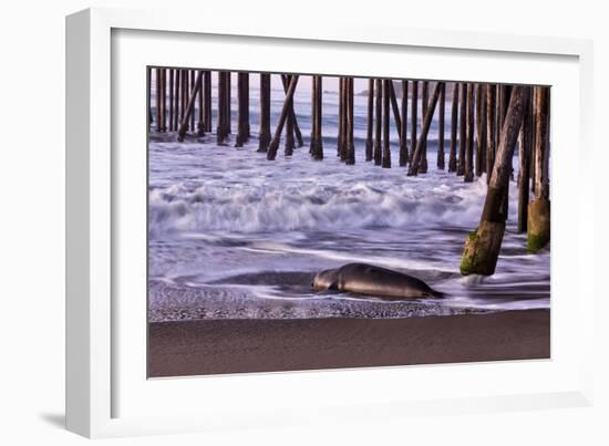 San Simeon Pier I-Lee Peterson-Framed Photo