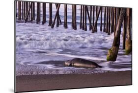 San Simeon Pier I-Lee Peterson-Mounted Photo