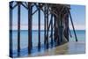 San Simeon Pier III-Lee Peterson-Stretched Canvas