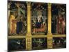 San Zeno Altarpiece-Andrea Mantegna-Mounted Giclee Print