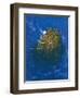 Sanctuary Beyond Time-Simon Cook-Framed Giclee Print