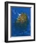 Sanctuary Beyond Time-Simon Cook-Framed Giclee Print