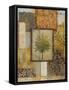 Sanctuary II-Michael Marcon-Framed Stretched Canvas