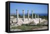 Sanctuary of Apollo Hylates, Kourion, Cyprus, 2001-Vivienne Sharp-Framed Stretched Canvas