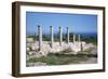 Sanctuary of Apollo Hylates, Kourion, Cyprus, 2001-Vivienne Sharp-Framed Photographic Print